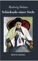 Schicksale einer Seele: (German)