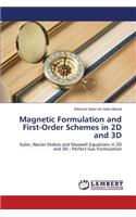 Magnetic Formulation and First-Order Schemes in 2D and 3D