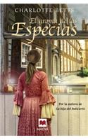 El Aroma de Las Especias