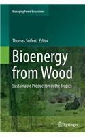 Bioenergy from Wood