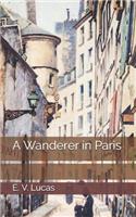 A Wanderer in Paris