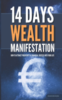 14 Days Wealth Manifestation: How to attract prosperity & financial success into your life