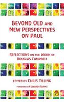 Beyond Old and New Perspectives on Paul