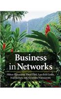 Business in Networks