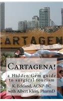 Cartagena!: A Hidden Gem Guide to Surgical Tourism: A Hidden Gem Guide to Surgical Tourism