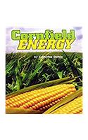 Houghton Mifflin Science: Ind Bk Lv4 Chp3 on Level Cornfield Energy: Ind Bk Lv4 Chp3 on Level Cornfield Energy