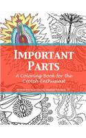 Important Parts