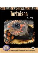 Tortoises: A Comprehensive Guide to Russian Tortoises, Leopard Tortoises, and More