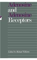 Adenosine and Adenosine Receptors
