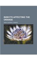 Insects Affecting the Orange