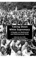 Taking Down White Supremacy