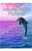 Amazing Dolphin Pictures: 100 photos of dolphins(English)
