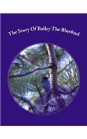 Story Of Bailey The Bluebird