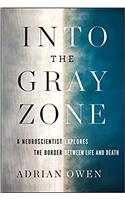 Into the Gray Zone