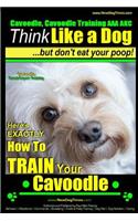 Cavoodle, Cavoodle Training AAA Akc