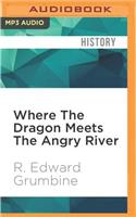 Where the Dragon Meets the Angry River: Nature and Power in the People's Republic of China