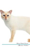 Mekong Bobtail Affirmations Workbook Mekong Bobtail Presents: Positive and Loving Affirmations Workbook. Includes: Mentoring Questions, Guidance, Supporting You.