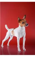 Toy Fox Terrier: Artified Pets Journal/Notebook/Diary, 160 Pages