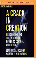 Crack in Creation