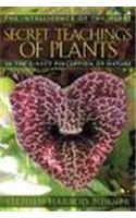 Secret Teachings Of Plants