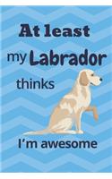 At least my Labrador thinks I'm awesome