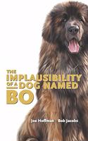 Implausibility of a Dog Named Bo