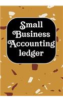 Small Business Accounting Ledger