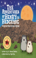 Adventures of Henry the Hedgehog: The Harvest Moon Festival at Big Rock