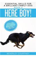 Here Boy!: Step-by-Step to a Stunning Recall from your Brilliant Family Dog