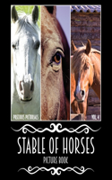 Precious Pictorials Stable Of Horses Picture Book Vol. 04: Horse Photo Book Horses Picture Book For Adults No Words Book 50 Color Images 8"x10" Matte Cover Finish