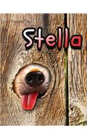 Stella: Personalized Discreet Internet Website Password Organizer, Large Print Book, 8 1/2