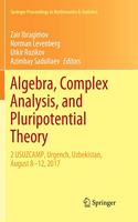 Algebra, Complex Analysis, and Pluripotential Theory