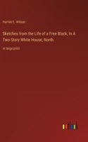 Sketches from the Life of a Free Black, In A Two-Story White House, North.: in large print