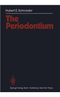Periodontium