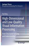 High-Dimensional and Low-Quality Visual Information Processing