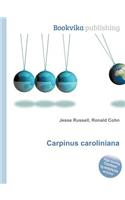 Carpinus Caroliniana