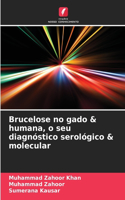 Brucelose no gado & humana, o seu diagnóstico serológico & molecular