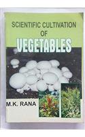 Scientific cultivation of vegetables