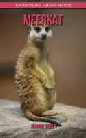 Meerkat