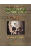 Identification of Pathological Conditions in Human Skeletal Remains