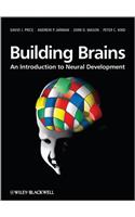 Building Brains