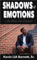 Shadows of Emotions