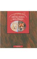 Arctic Foxes and Red Foxes