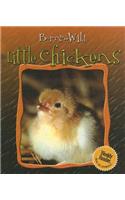 Little Chickens