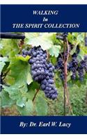 Walking In The Spirit Collection