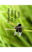 Dragonflies Up Close Calendar 2020