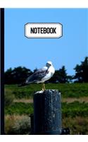 Notebook: Prise de notes, original & pratique de 110 pages lignées avec une couverture photo - Mouette Poteau Mer Nature