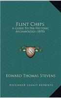 Flint Chips: A Guide To Pre-Historic Archaeology (1870)