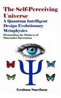 The Self Perceiving Universe