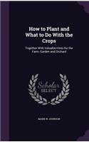 How to Plant and What to Do With the Crops